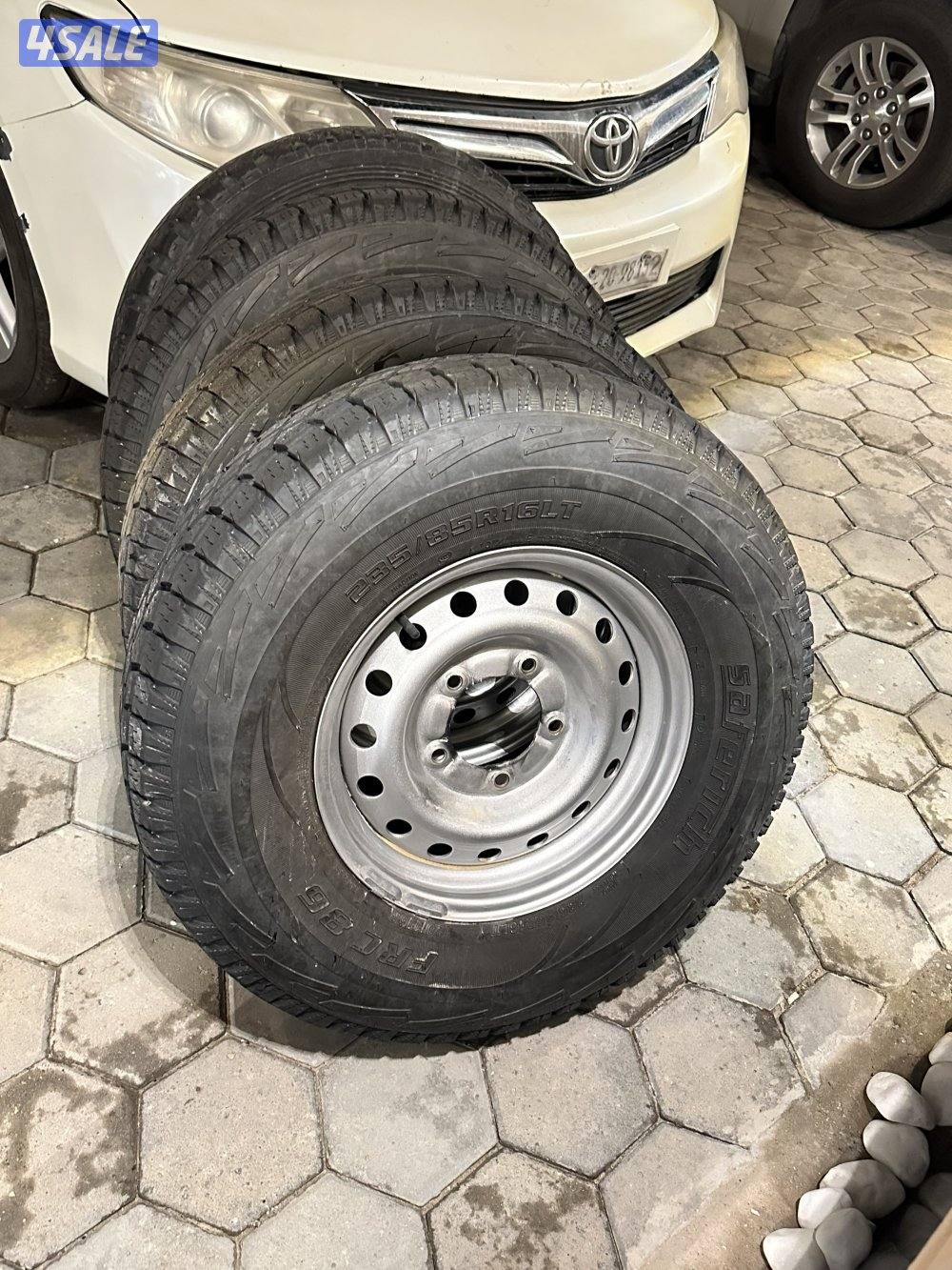 رنقات و شواهين1