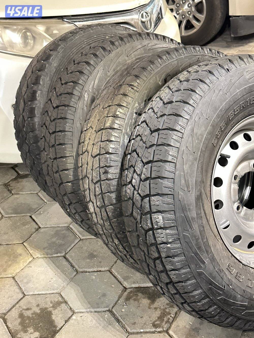 رنقات و شواهين3