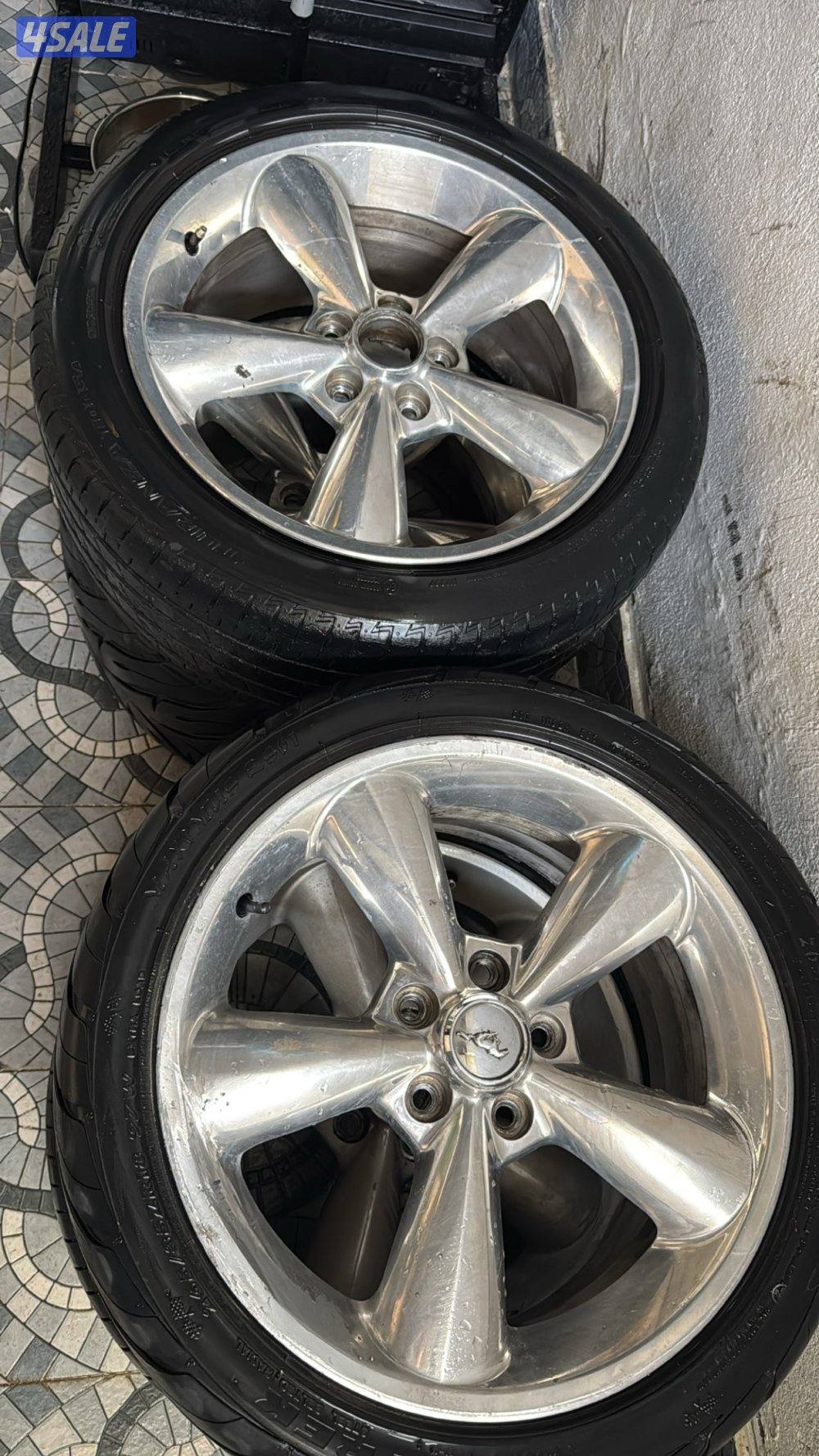 رنقات سبيشل موستنق0