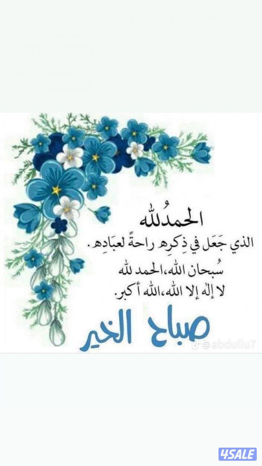 شاب شقردي  ابحث عن عمل0