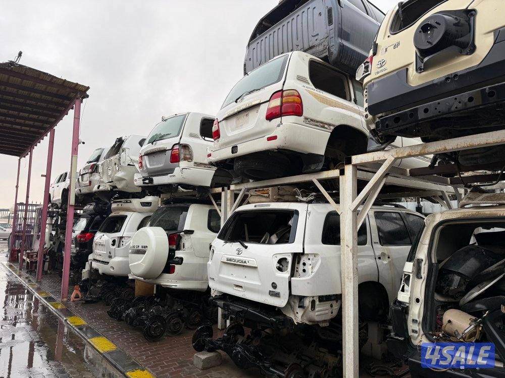 سكراب سالمي النعايم كيلو ٤١9