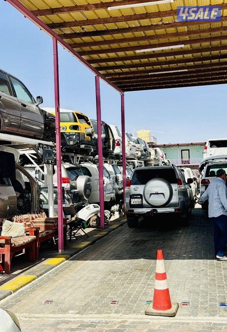 سكراب سالمي النعايم كيلو ٤١10