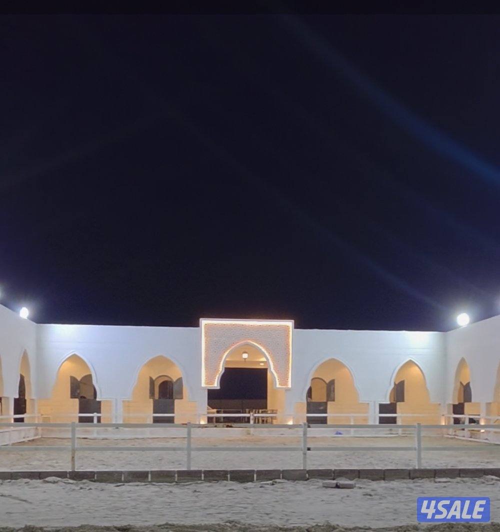 مربط خيل بالوفره بداية ش٥٠٠0