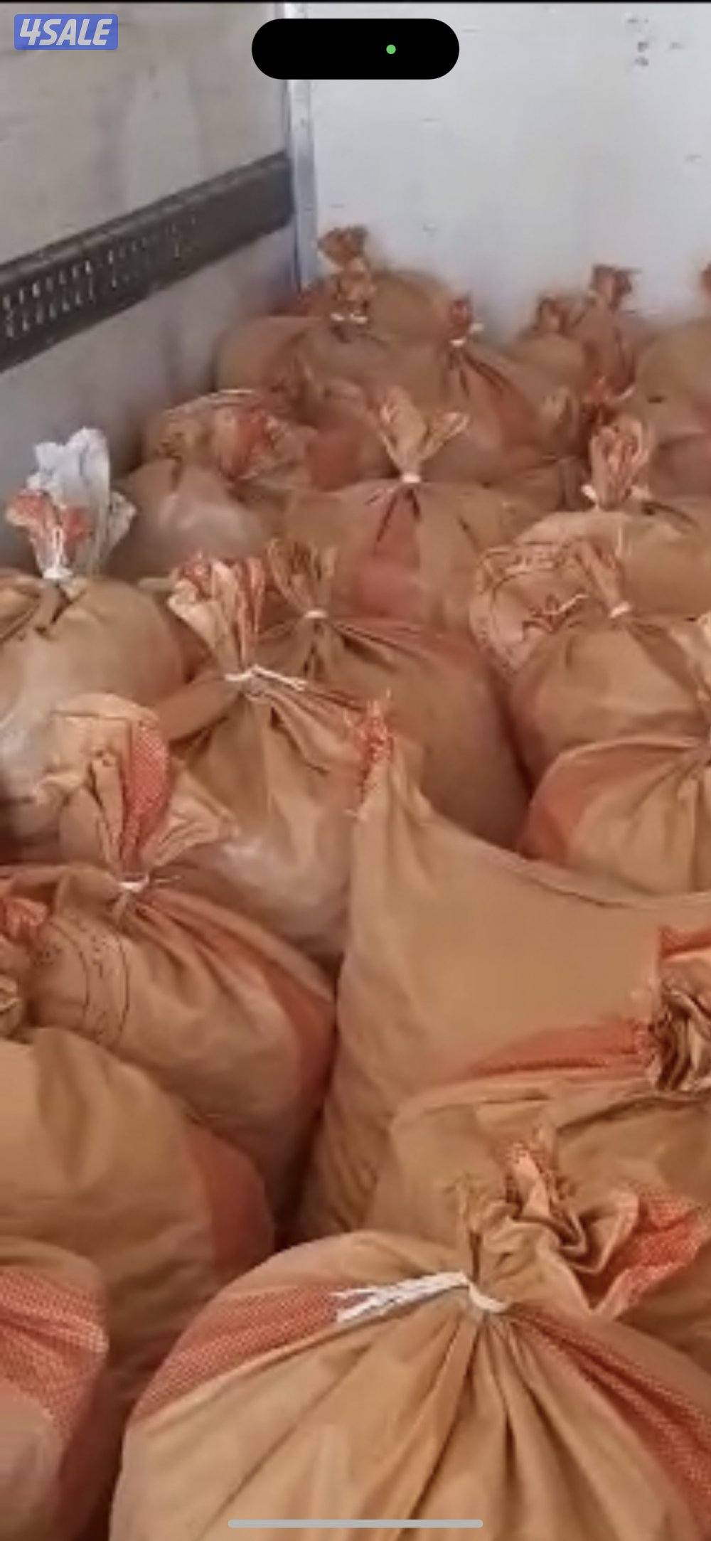 تمر يصلح للحلال وزن ٣٥ ك الى ٤٠ ك مزارع العبدلي1