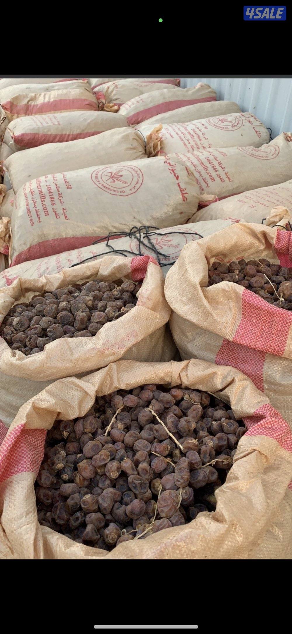 تمر يصلح للحلال وزن ٣٥ ك الى ٤٠ ك مزارع العبدلي2