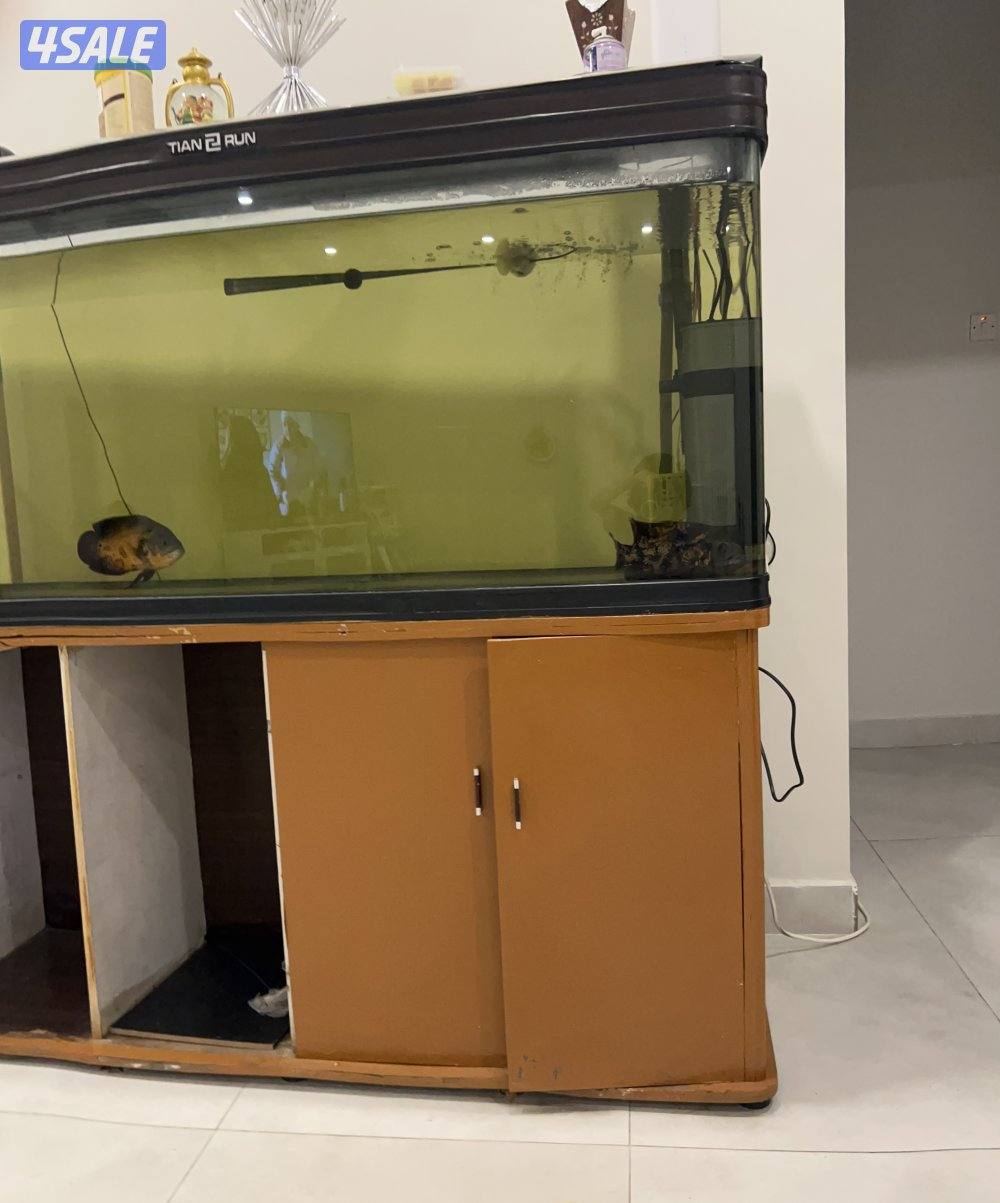 حوض سمك حجم كبير0