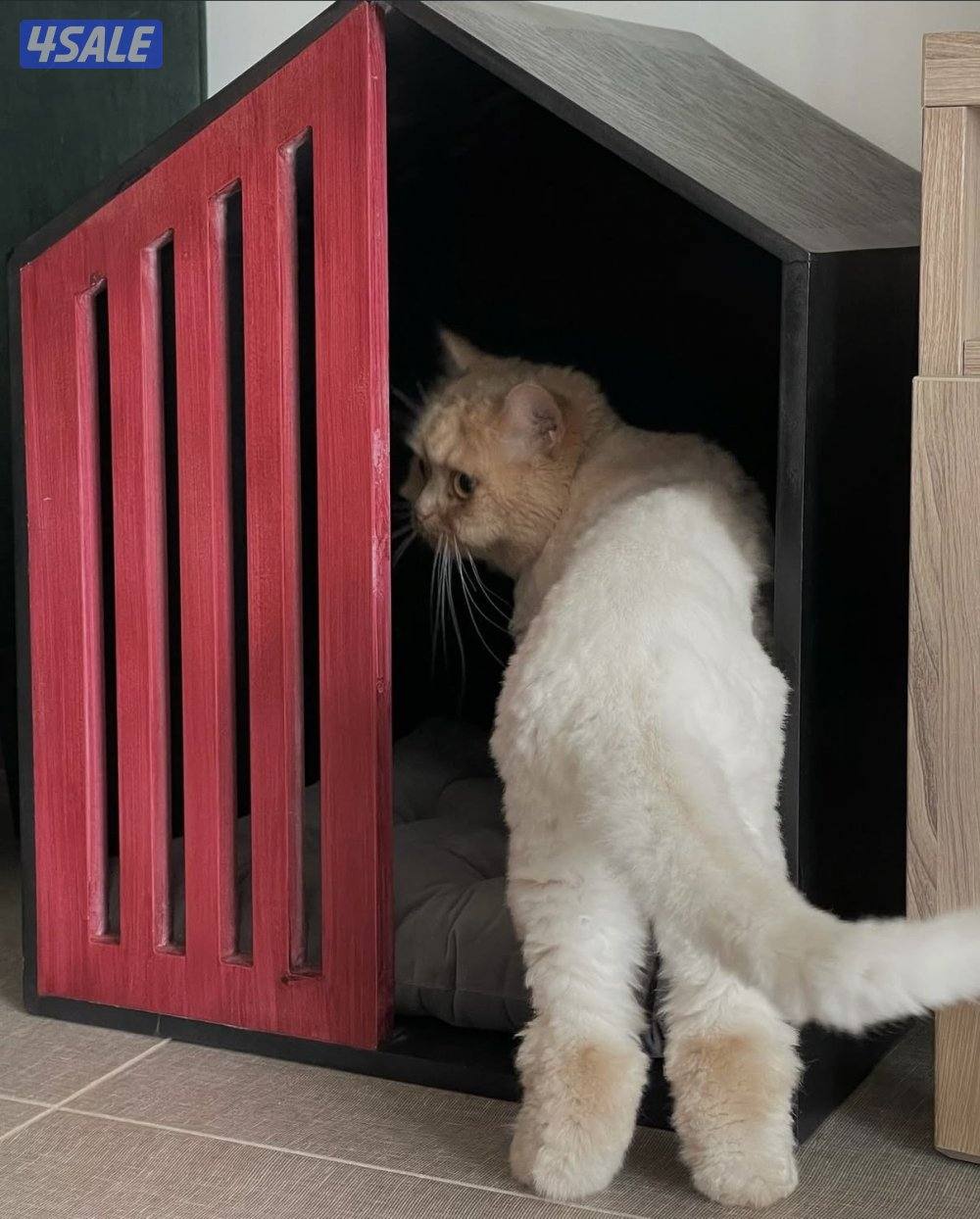 بيت خشبي للقطط2
