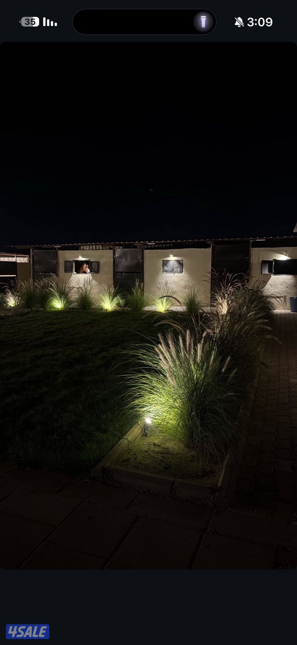 مربط النوايف للخيل العربيه3