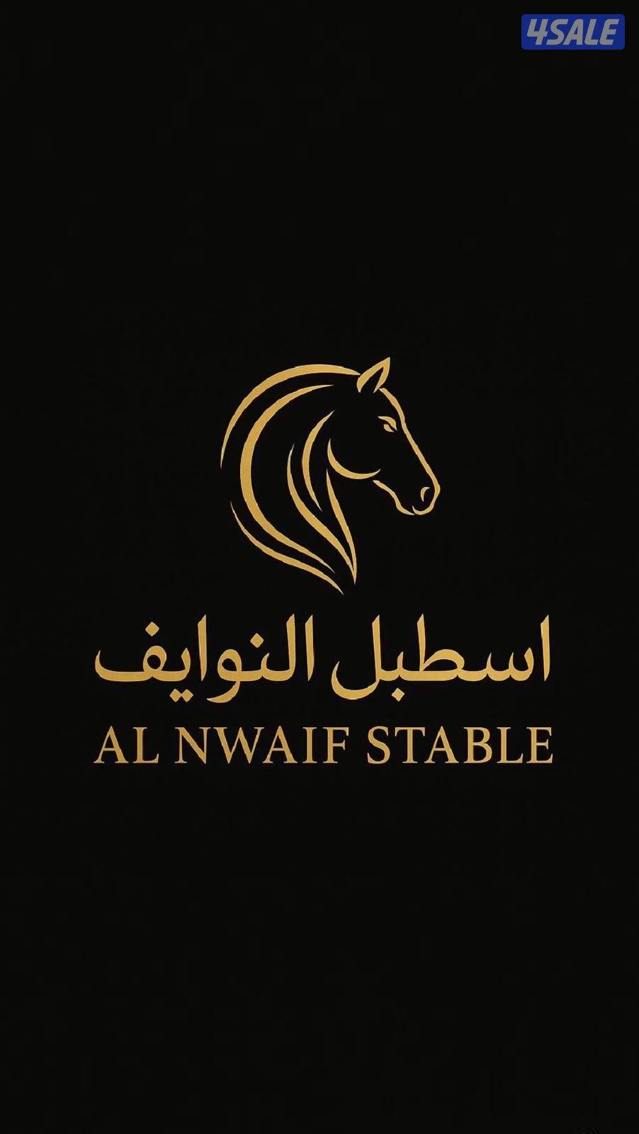 مربط النوايف للخيل العربيه6