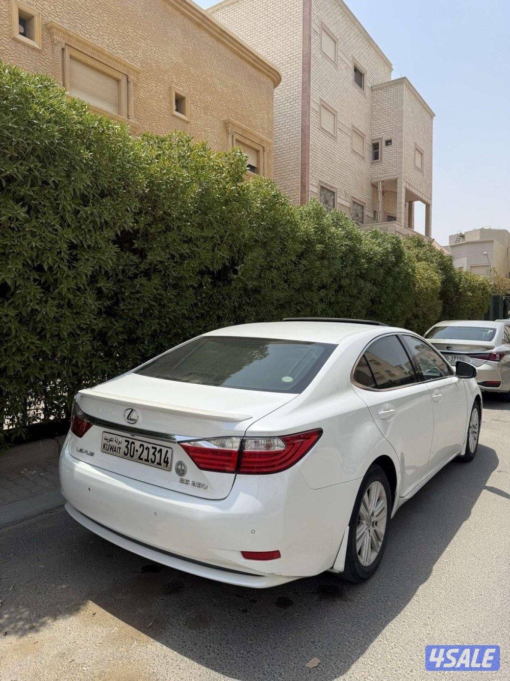 بيعه سريعه صبغ وكاله0