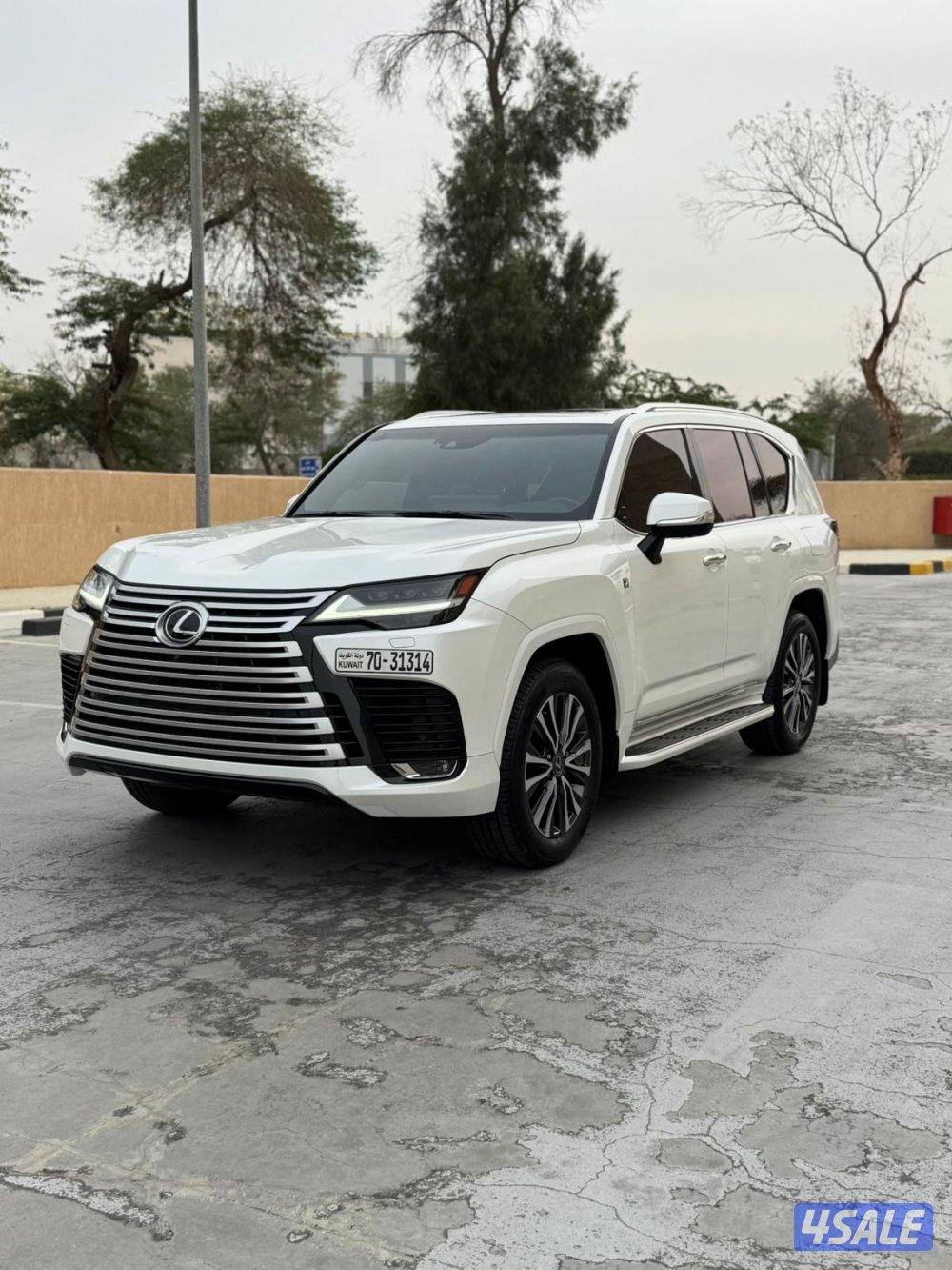 الساير .. شرط الفحص0