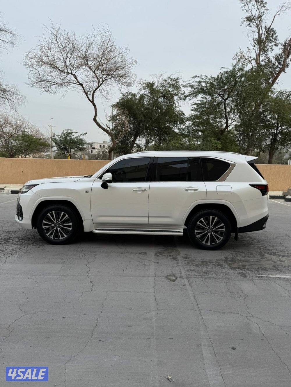 الساير .. شرط الفحص7