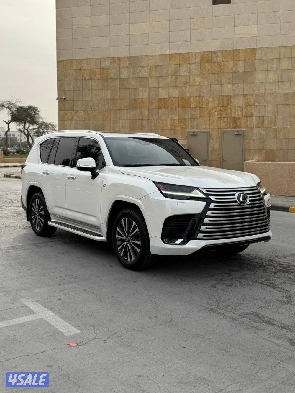 الساير .. شرط الفحص6