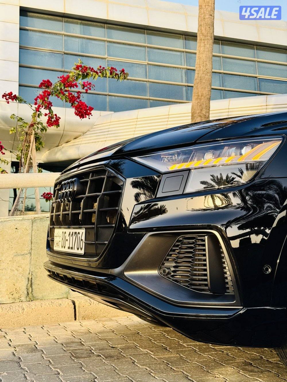 كيو٨ اس لاين (اصدار خاص ) 20233