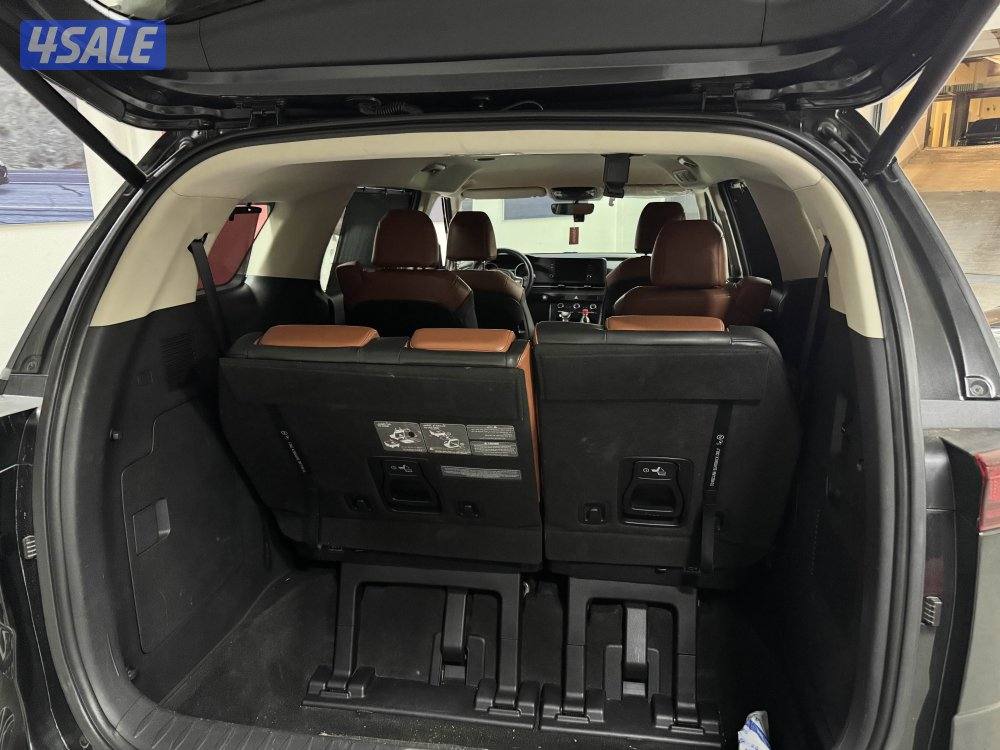 للبيع كرنفال موديل 20225