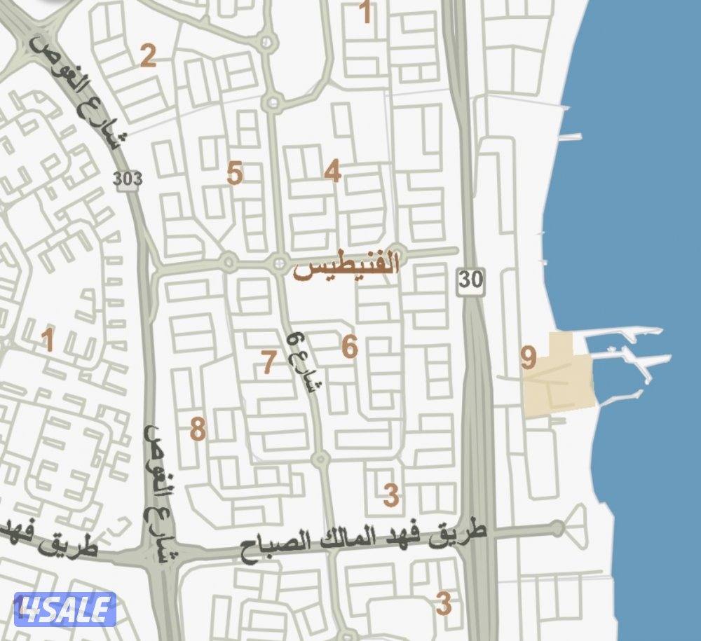 للبيع فيلا جديدة في الفنيطيس مدخل مخرج سهل قرب المسجد0