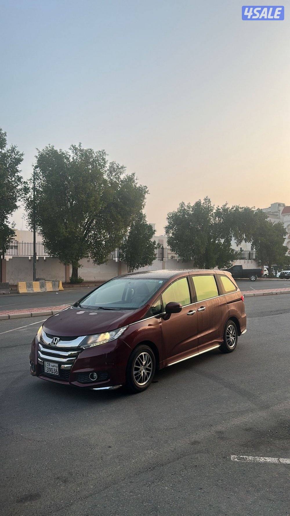 أوديسي short 20202