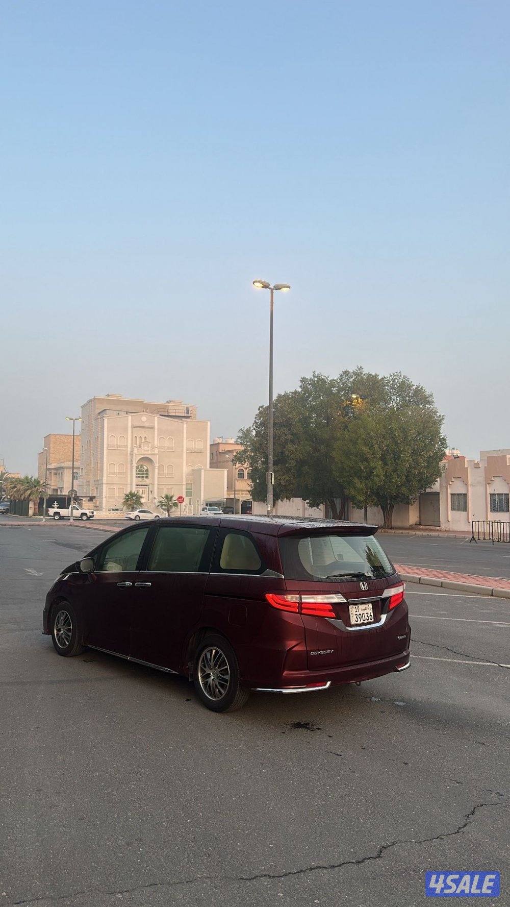 أوديسي short 20203