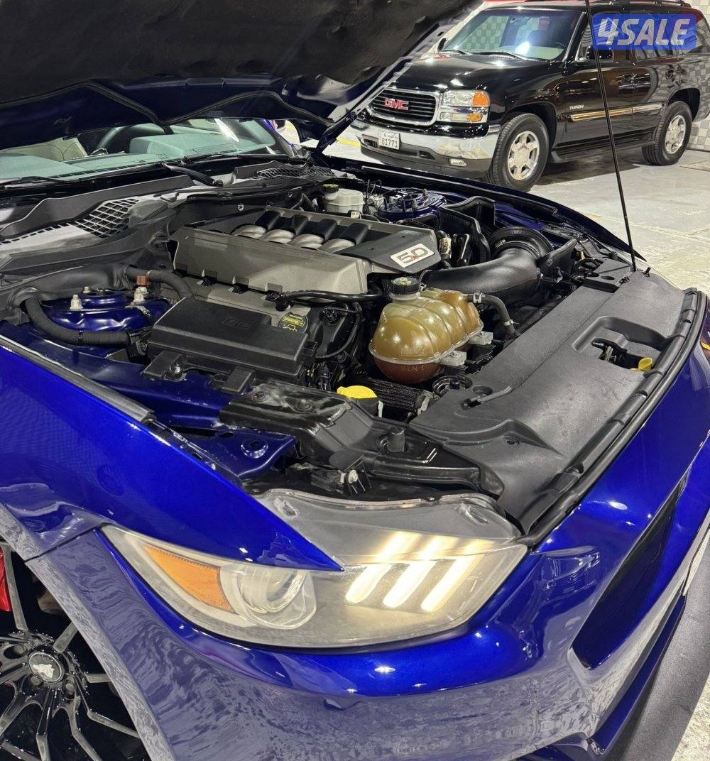 موستنق قير عادي الغانم عداد 87 شرط الفحص بلكامل8