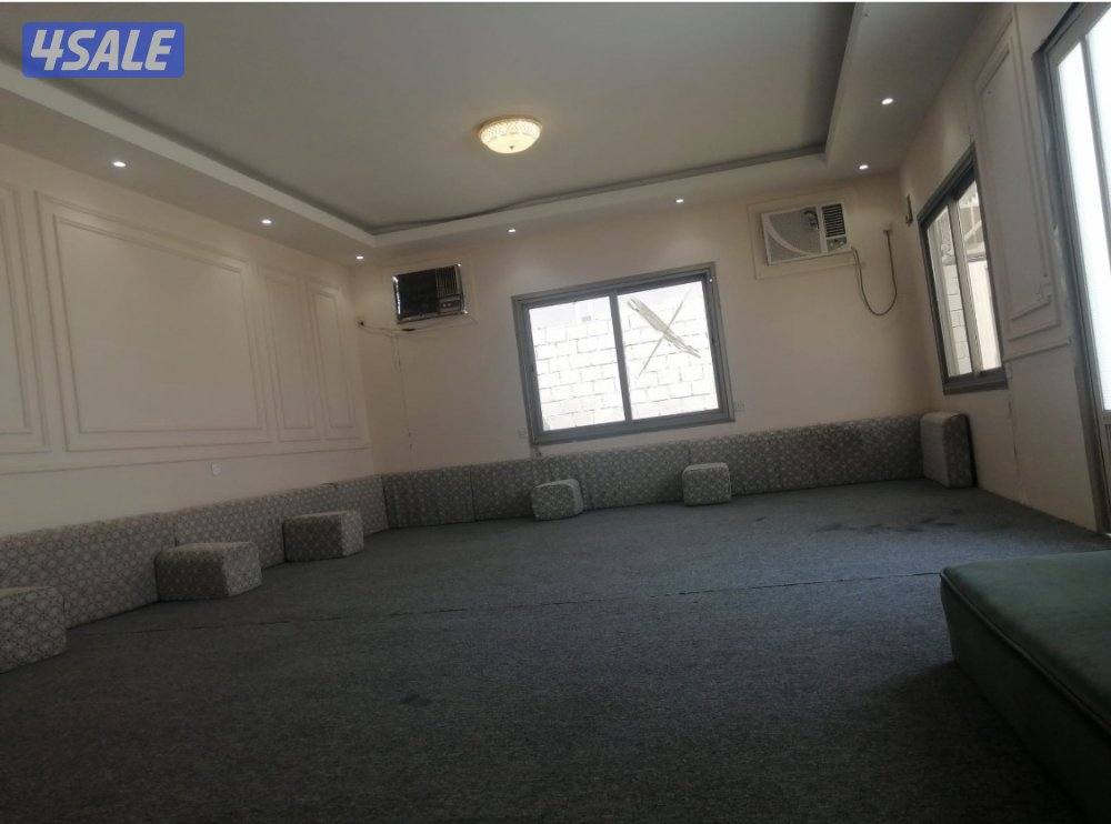 لإيجار ديوانيه1