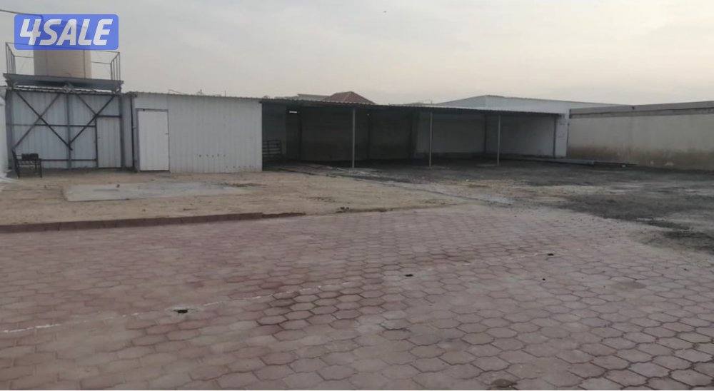 لإيجار ديوانيه3