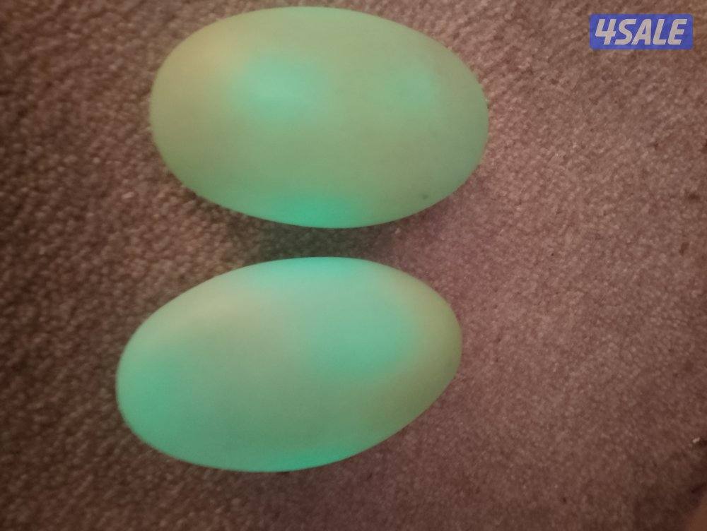 للبيع احجار الطاقة الأصلية المضيئة1