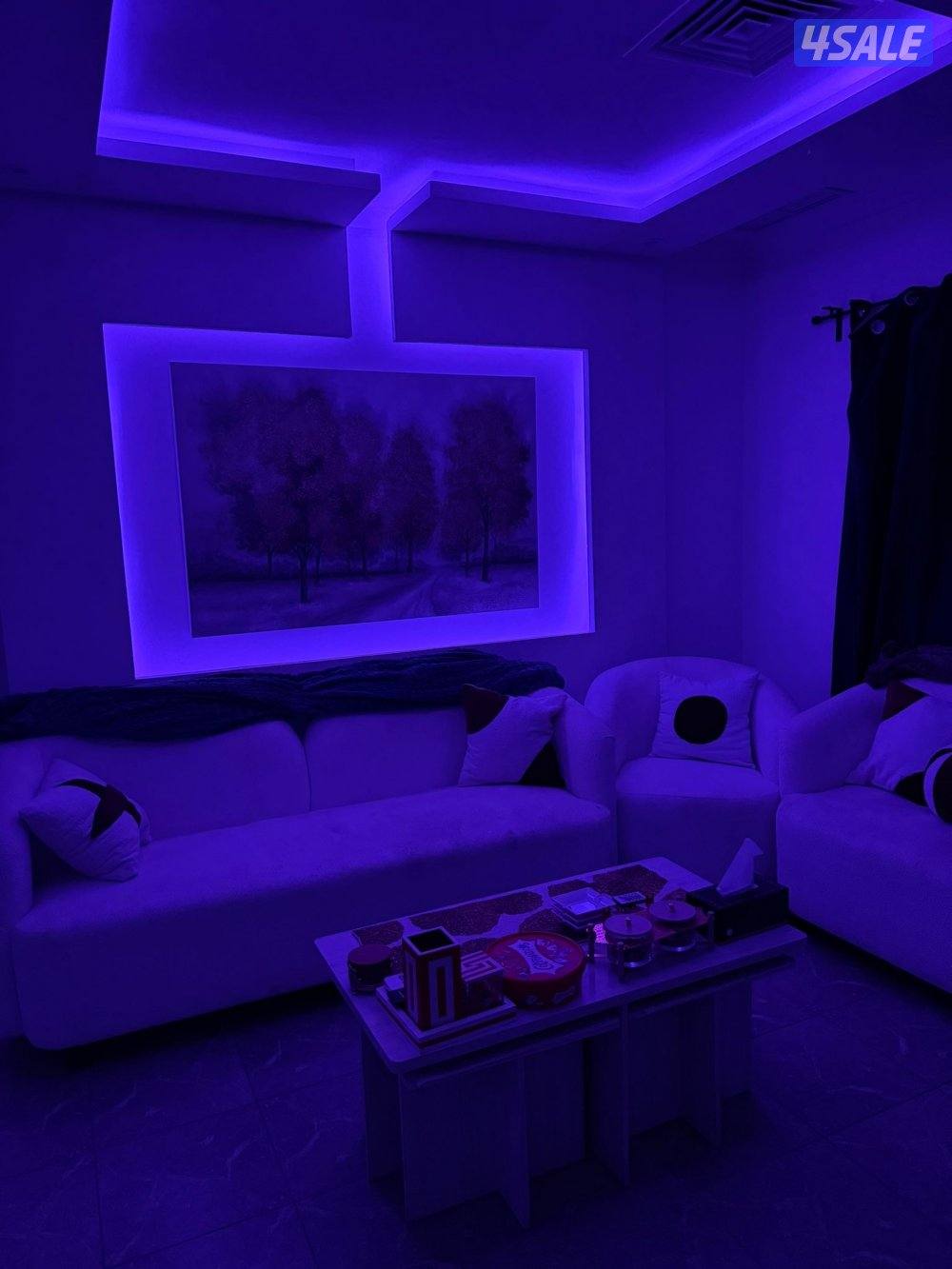 اجار يومي vip 🌟🌟🌟🌟🏡1