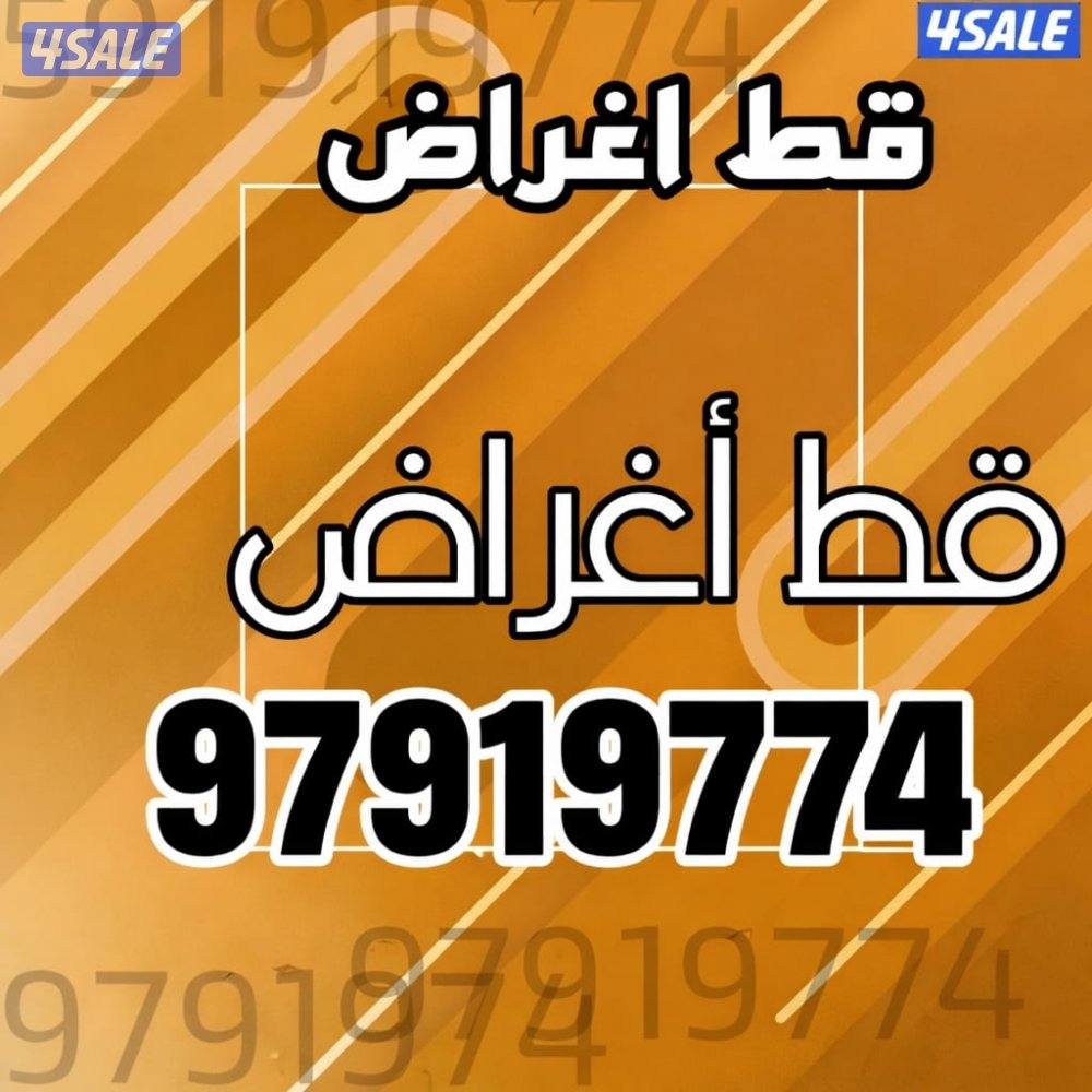 قط@اغراض@قط@اغراض@قط@اغراض@قط@اغراض3