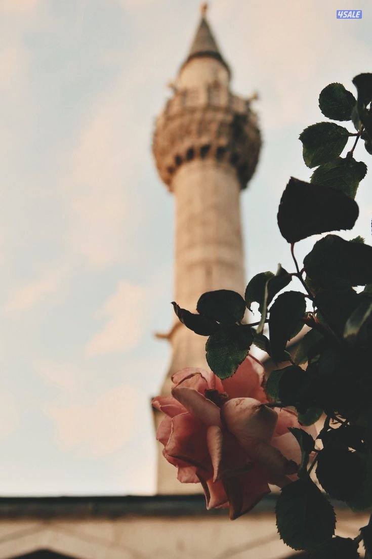 أبحث عن بارتشن أو غرفة صغيرة مناسبة لشخص واحد، في سكن هادئ ونظيف0