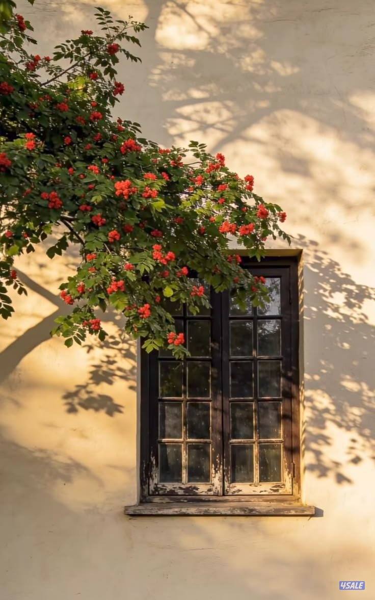 أبحث عن بارتشن أو غرفة صغيرة مناسبة لشخص واحد، في سكن هادئ ونظيف2