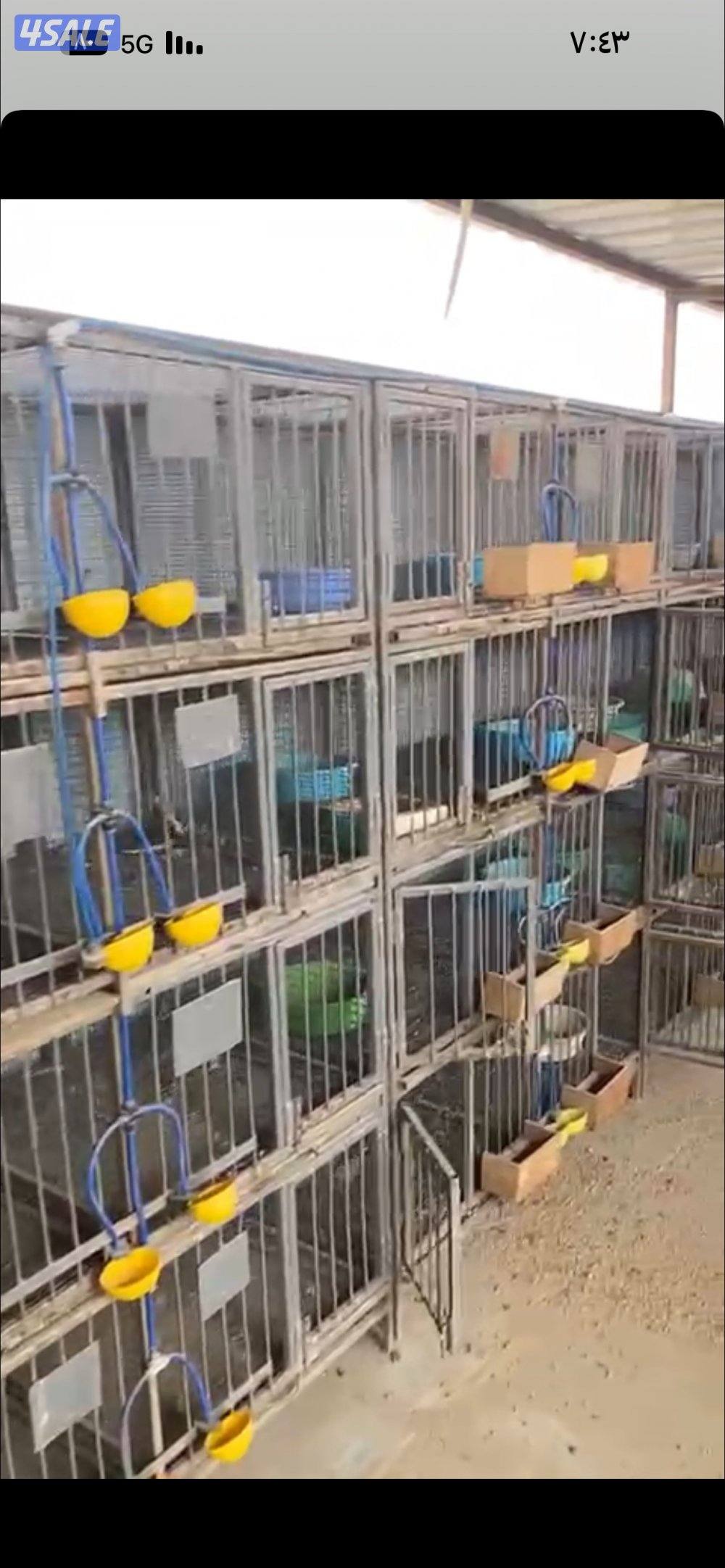 خانات أم عشر وأم ثمان1