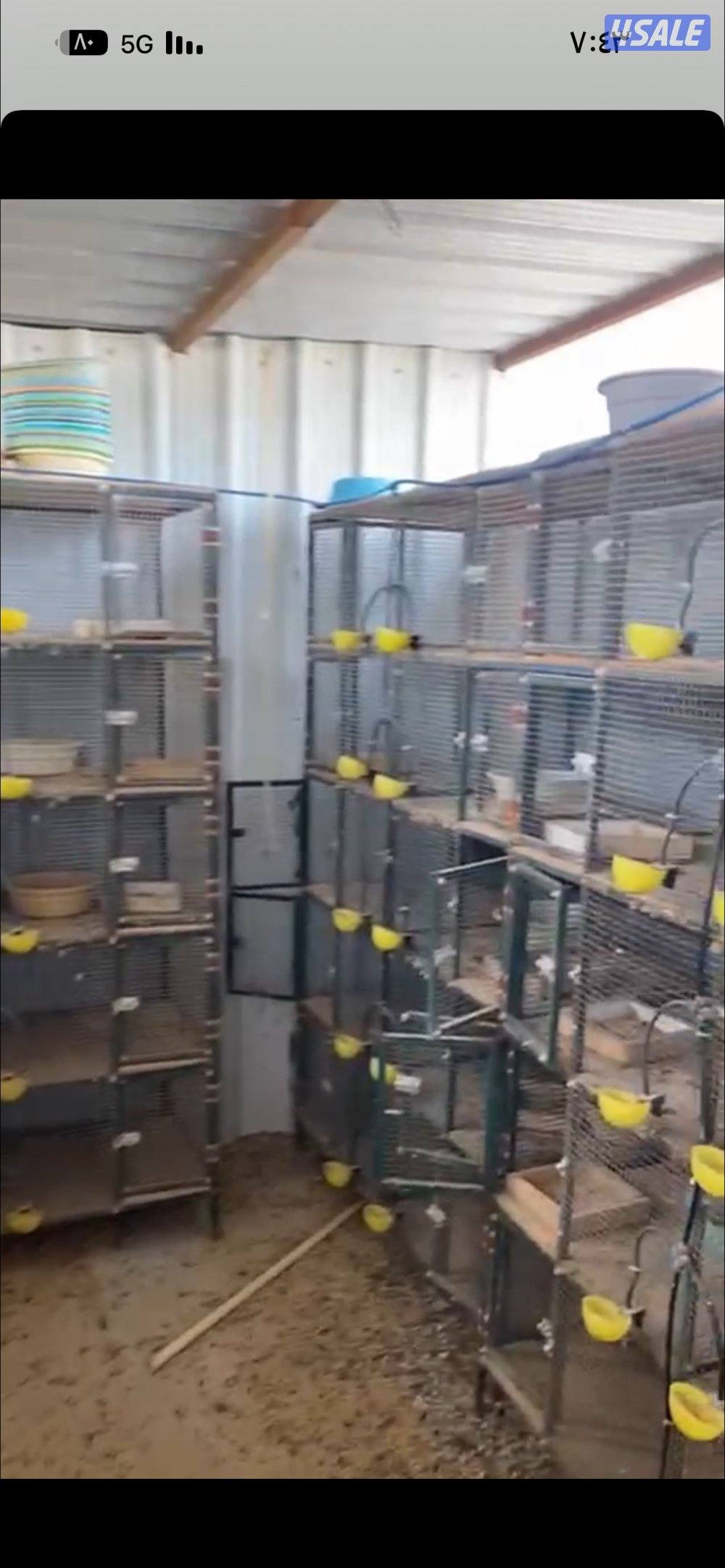 خانات أم عشر وأم ثمان2