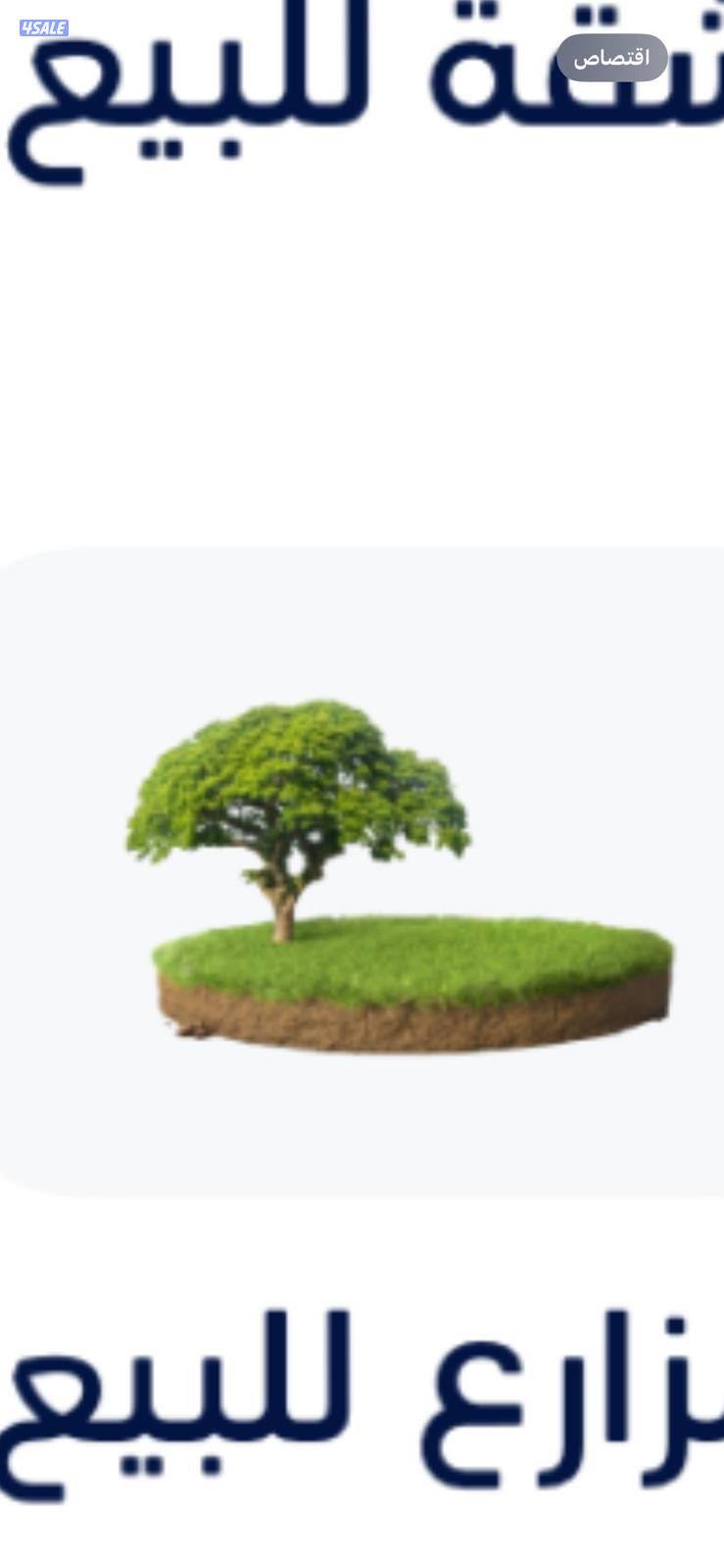 مزارع للبيع0