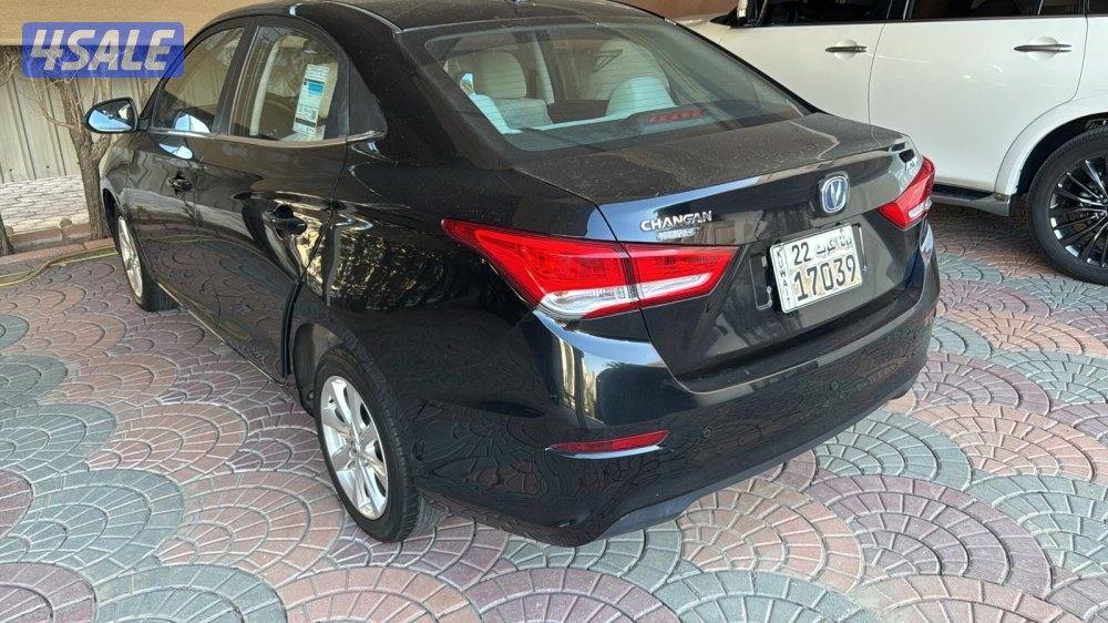 شانجان سفن 20240