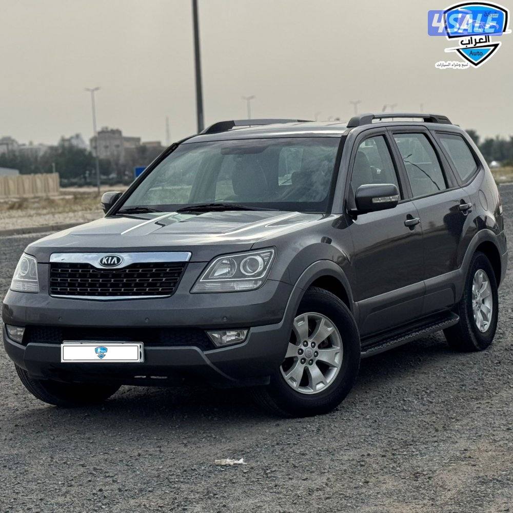 كيا موهافى  20162