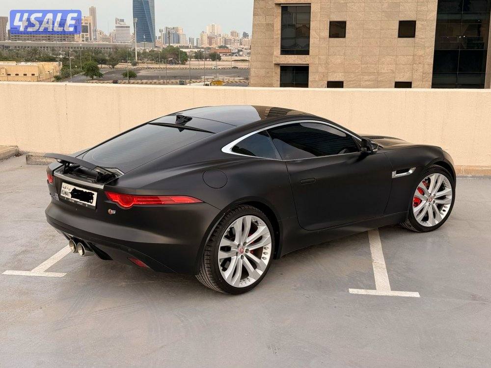 ❗️Ftype S // 20152