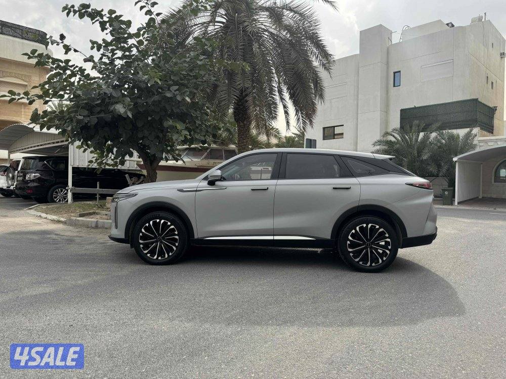 م 2024 عداد 25 RX أعلي المواصفات علي حماية بالكامل ش الفحص0