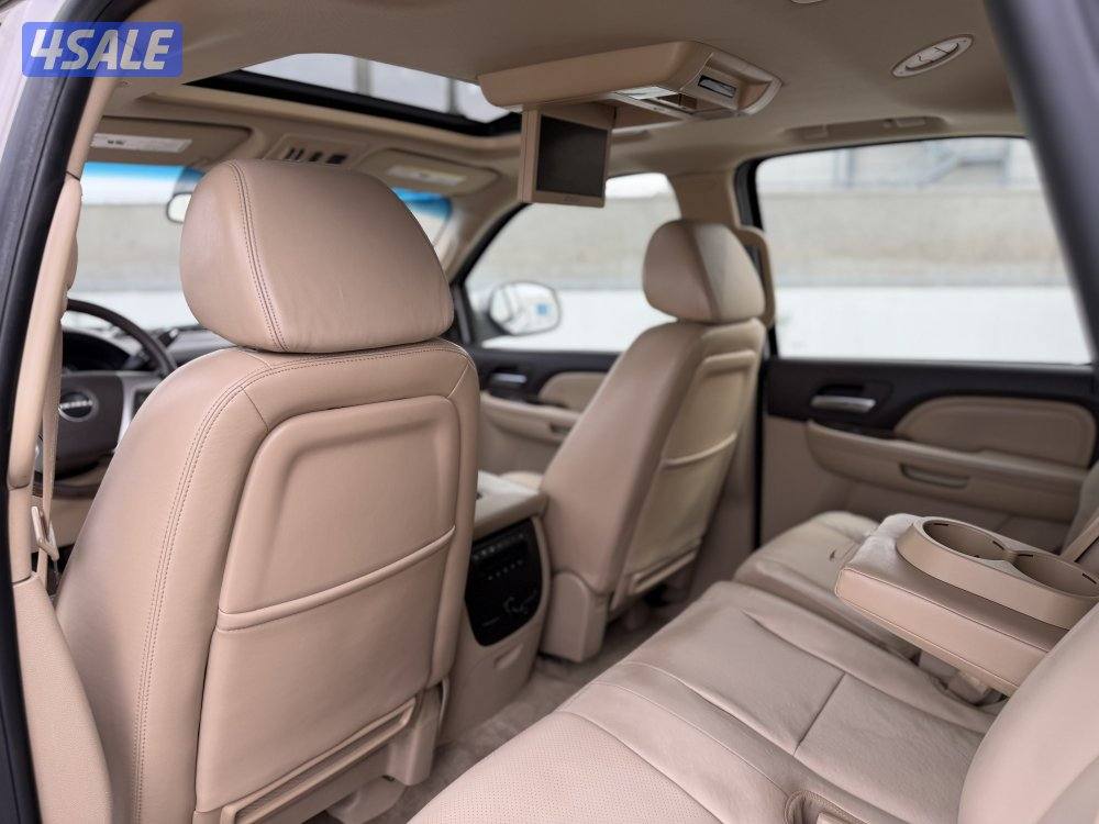 دينالي بهبهاني_موديل 2009_صبغ الوكاله_الدرجه الاولى8