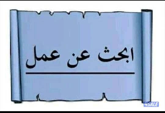انا موظف تاجير خبره في مجال تأجير السيارات يوجد ليسن0