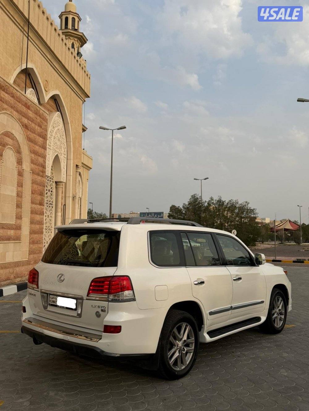 من داخل عنابي وارد قطر3