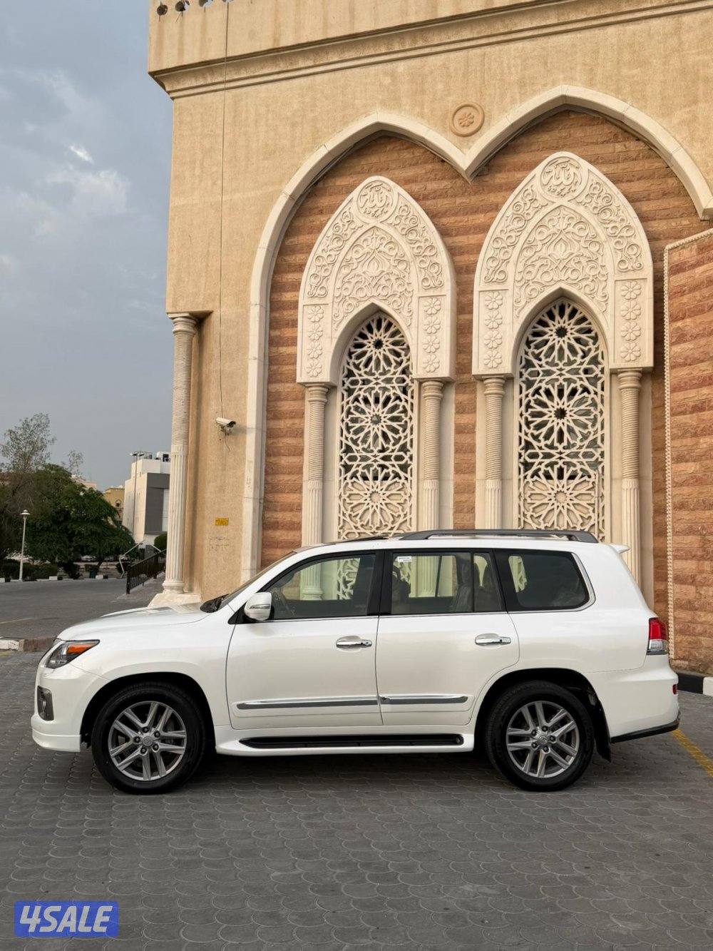 من داخل عنابي وارد قطر6