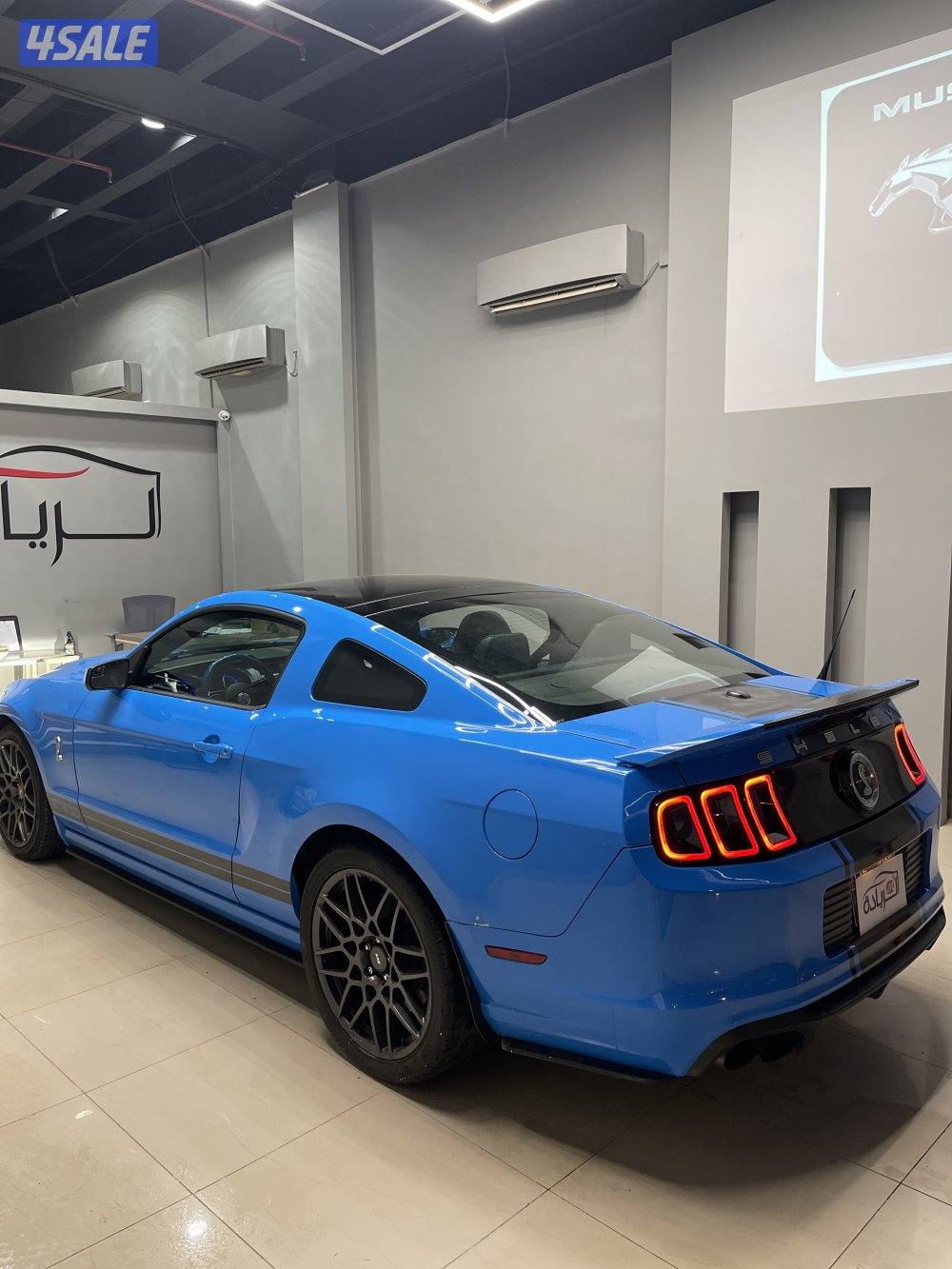 موستنج شلبي أصلي2