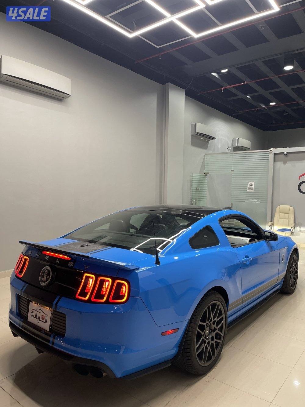 موستنج شلبي أصلي3
