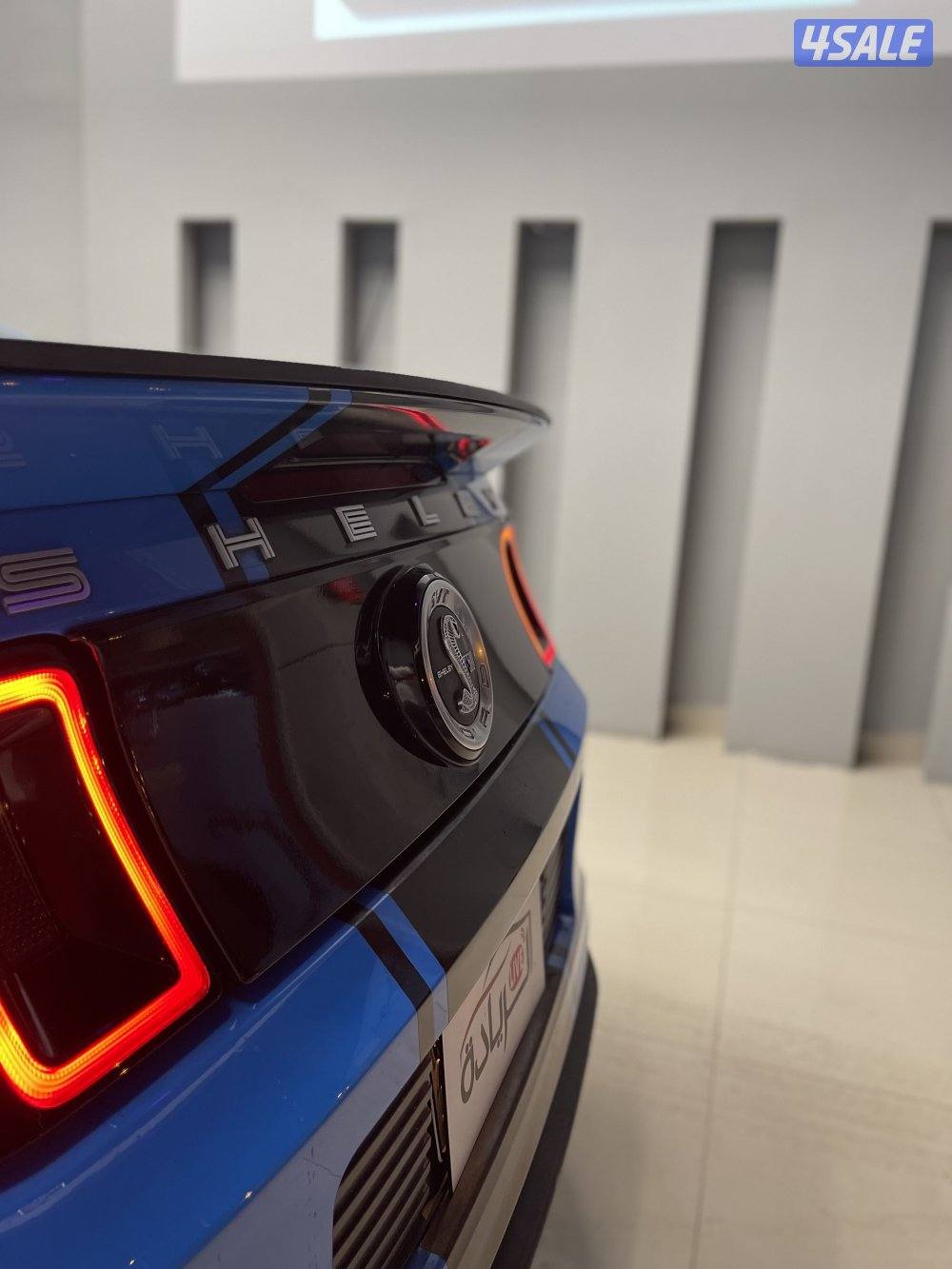 موستنج شلبي أصلي4