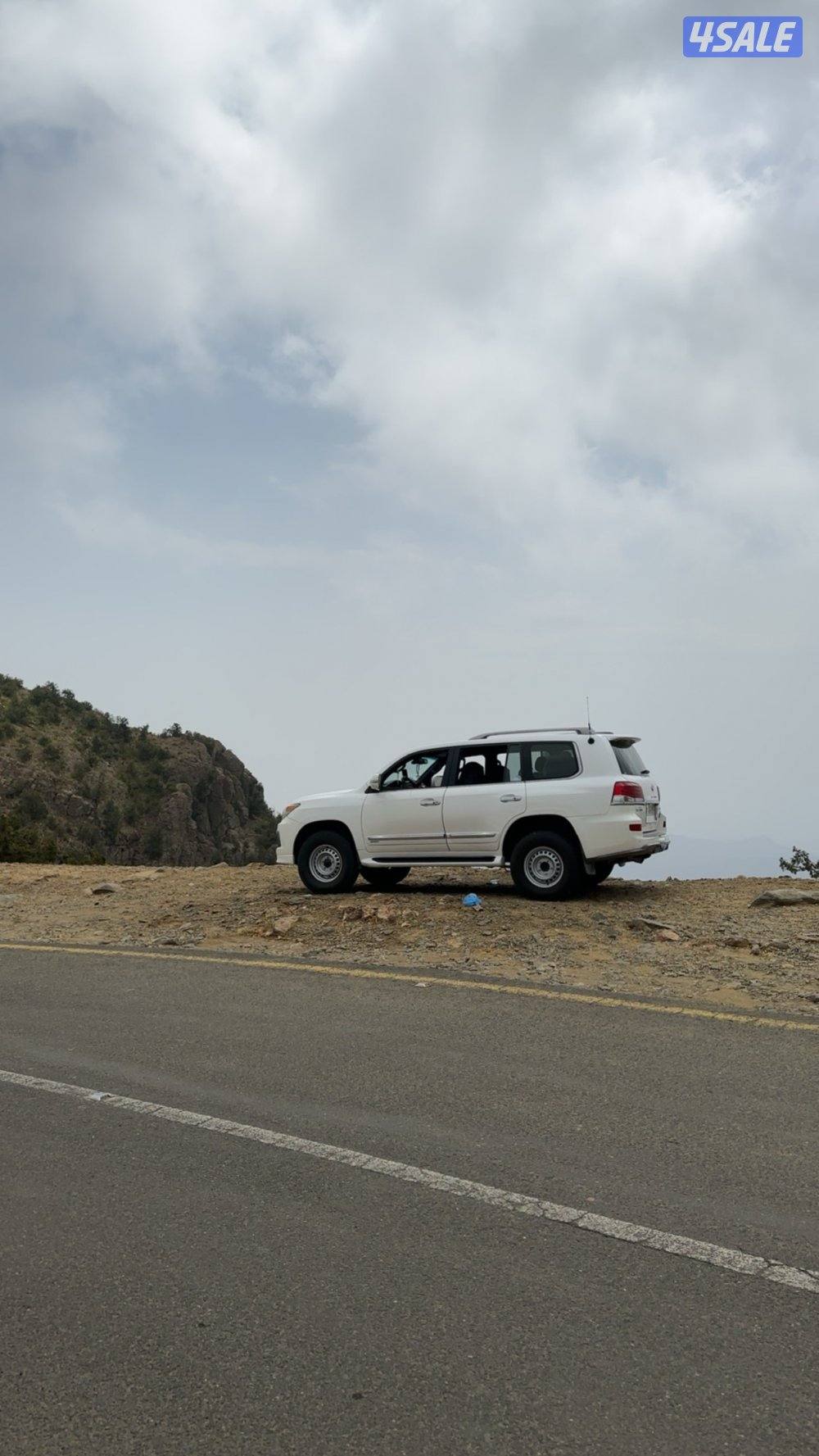 شواهين هامان 900 ورنقات هلل 17 من الساير0