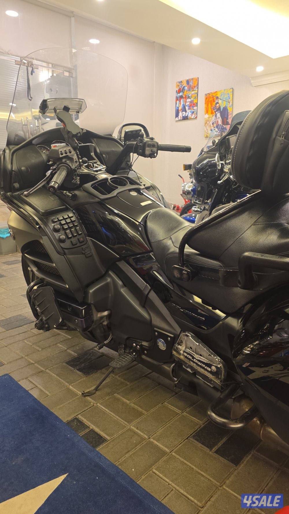 قولد وينق بلاك اديشن لفل ٣1