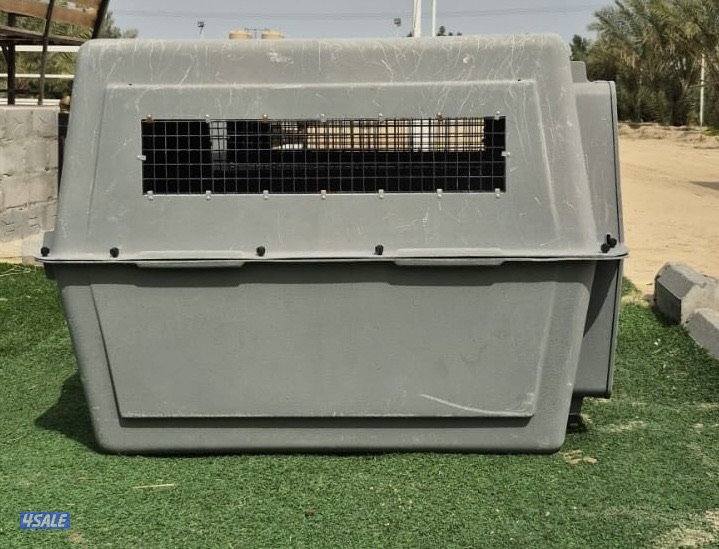 للبيع كيجات الحجم الكبير1