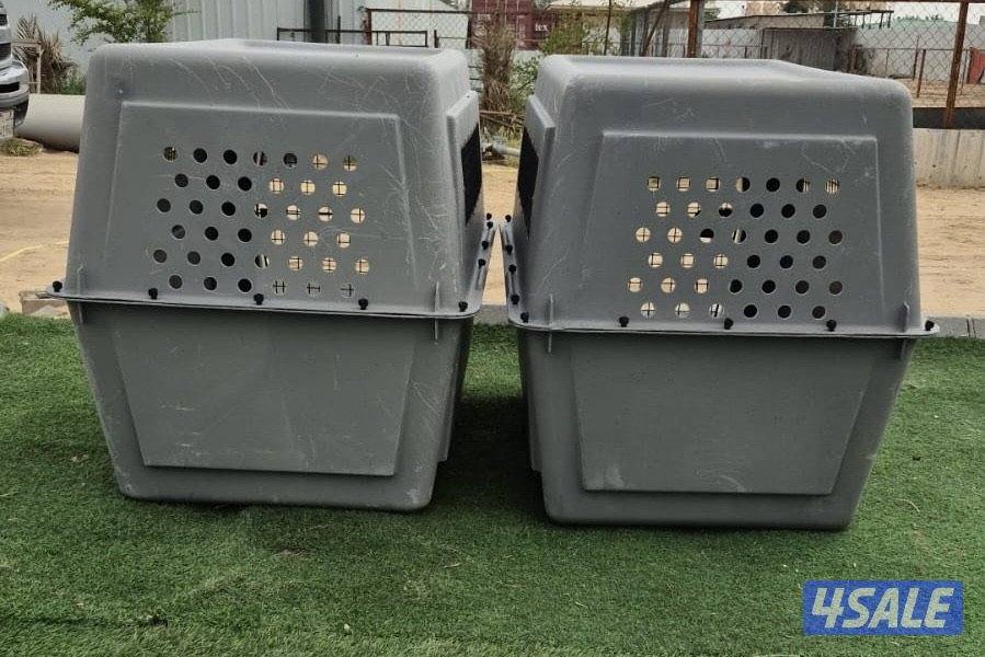 للبيع كيجات الحجم الكبير0