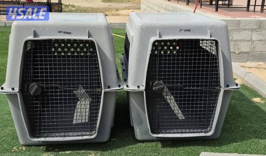 للبيع كيجات الحجم الكبير3