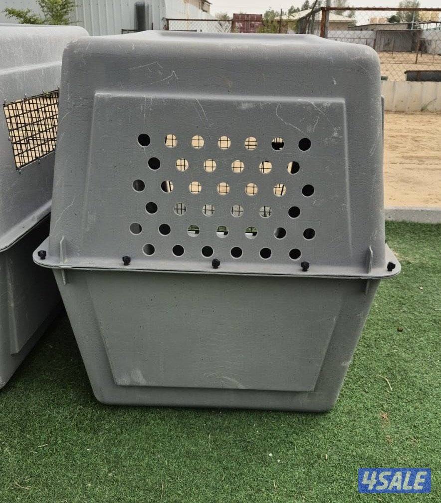 للبيع كيجات الحجم الكبير2